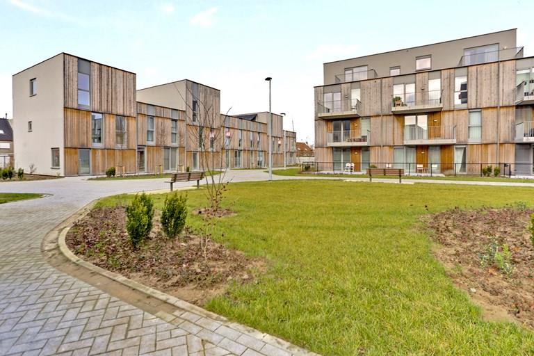 Voir toutes les images de 't Fineer et plus