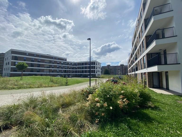 Voir toutes les images de Vue Verte - Jambes et plus