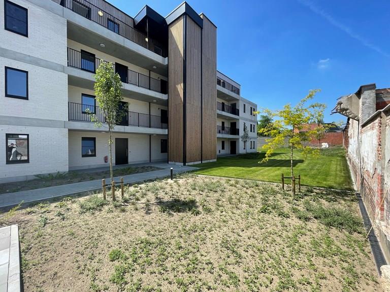 Voir toutes les images de Project Hoppe et plus