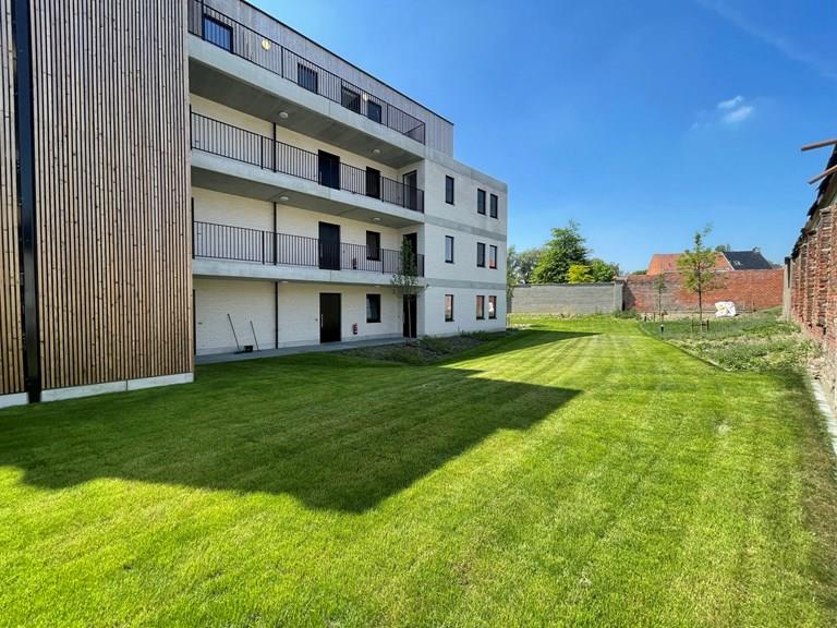 Voir toutes les images de Project Hoppe et plus